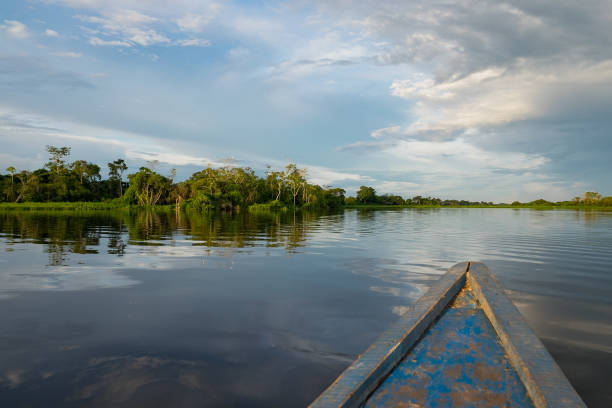 Pucallpa